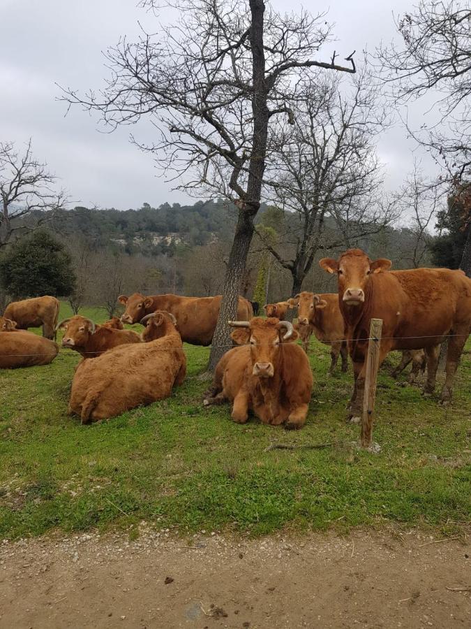 Harveys Homestay - Adults Only Mieres  Eksteriør billede